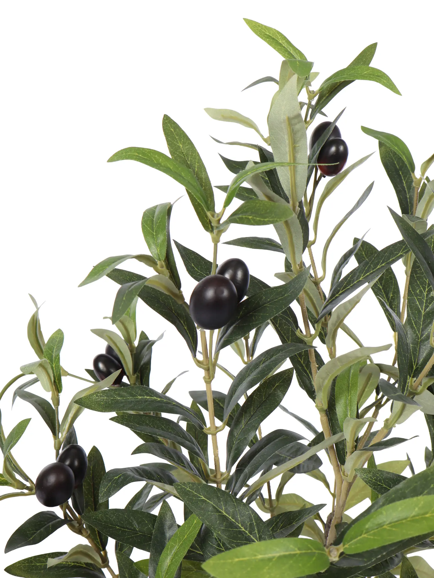 Kunst Olijfboompje Op Stam Bardi 65cm