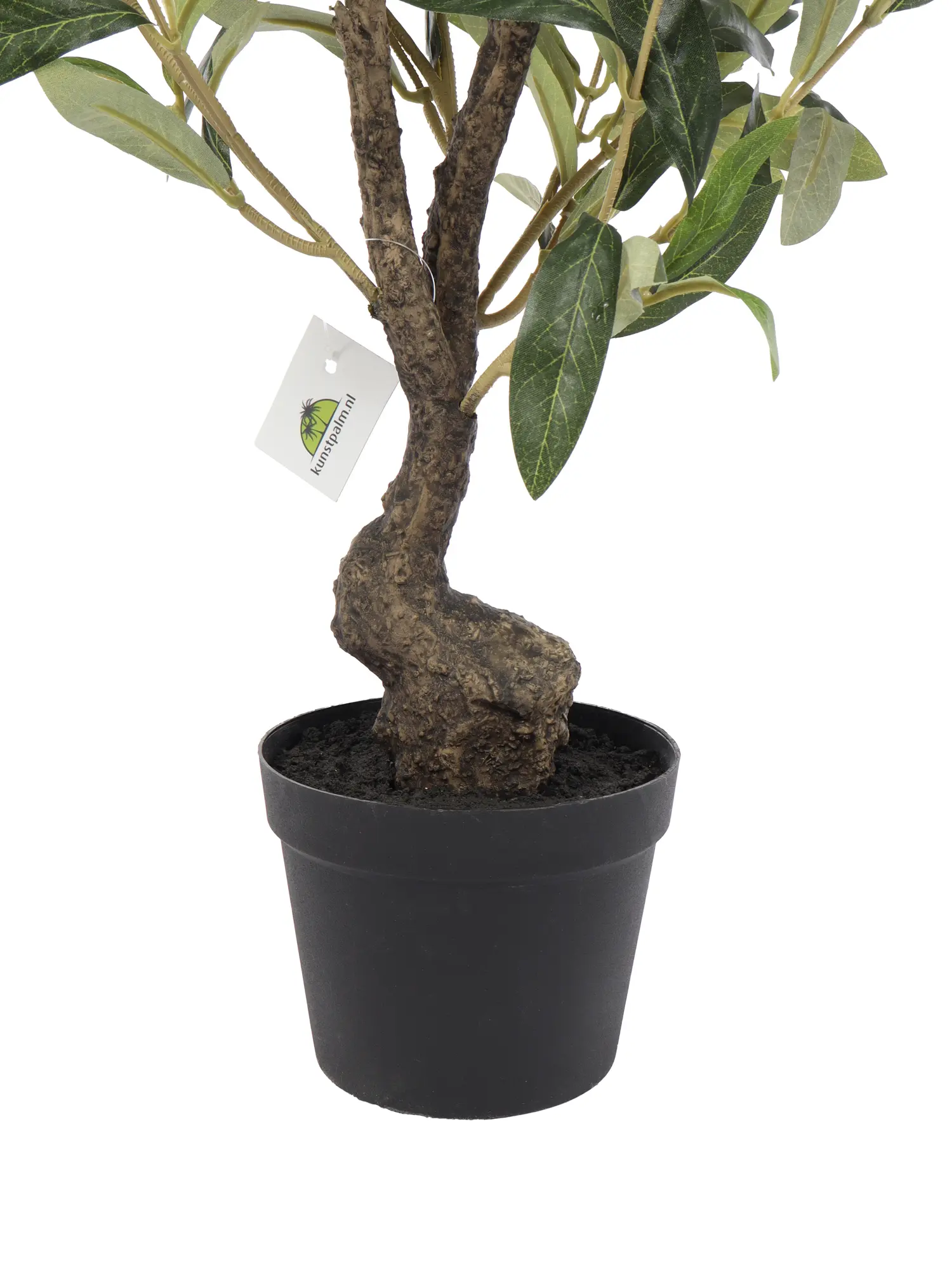 Kunst Olijfboompje Op Stam Bardi 65cm