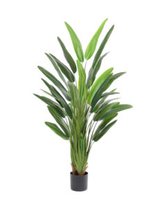 Kunstbanaanplant Waaiervorm Ravenala 160cm