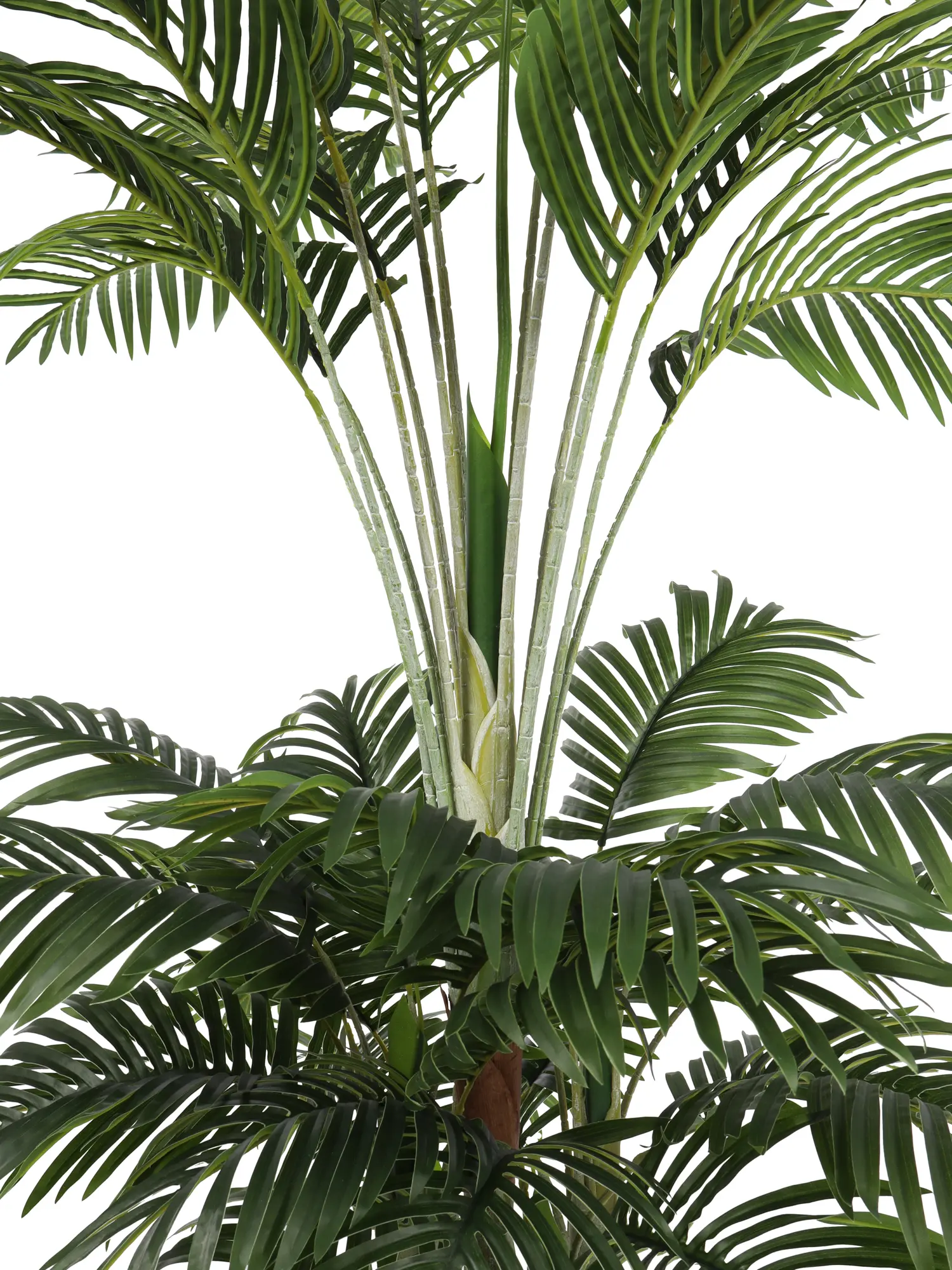 Kunstpalm Miami 170cm