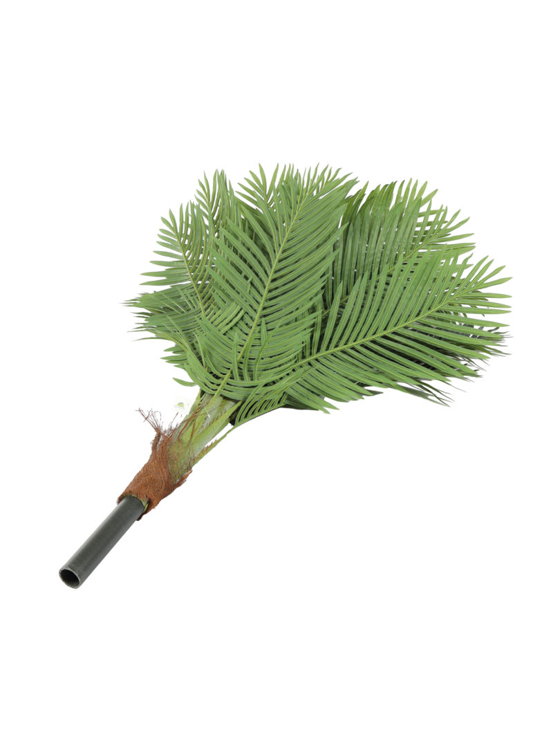 Grote Palmboomkruin 120cm