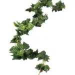 Klimop Slinger Extra Lang