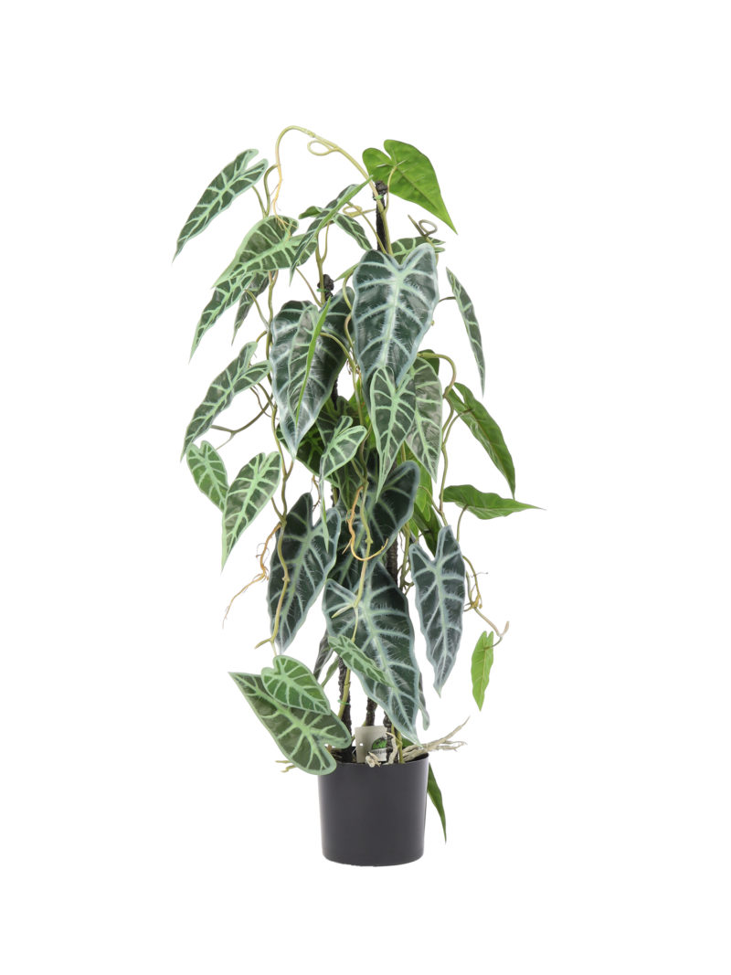 Kunst Kamerplant Alocasia 80cm