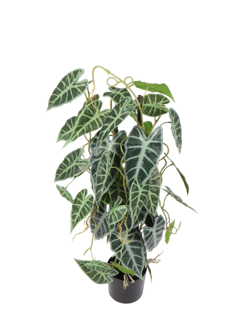 Kunst Kamerplant Alocasia 80cm