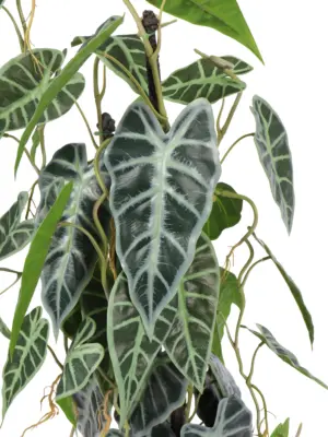 Kunst Kamerplant Alocasia 80cm