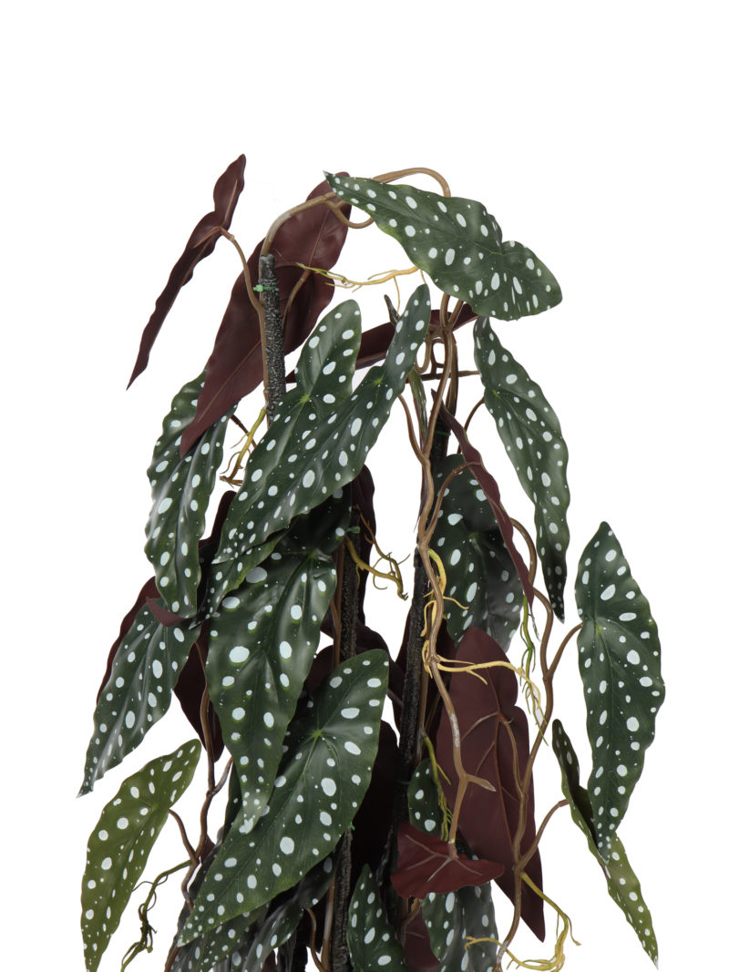 Kunstkamerplant met Stippen Begonia 80cm