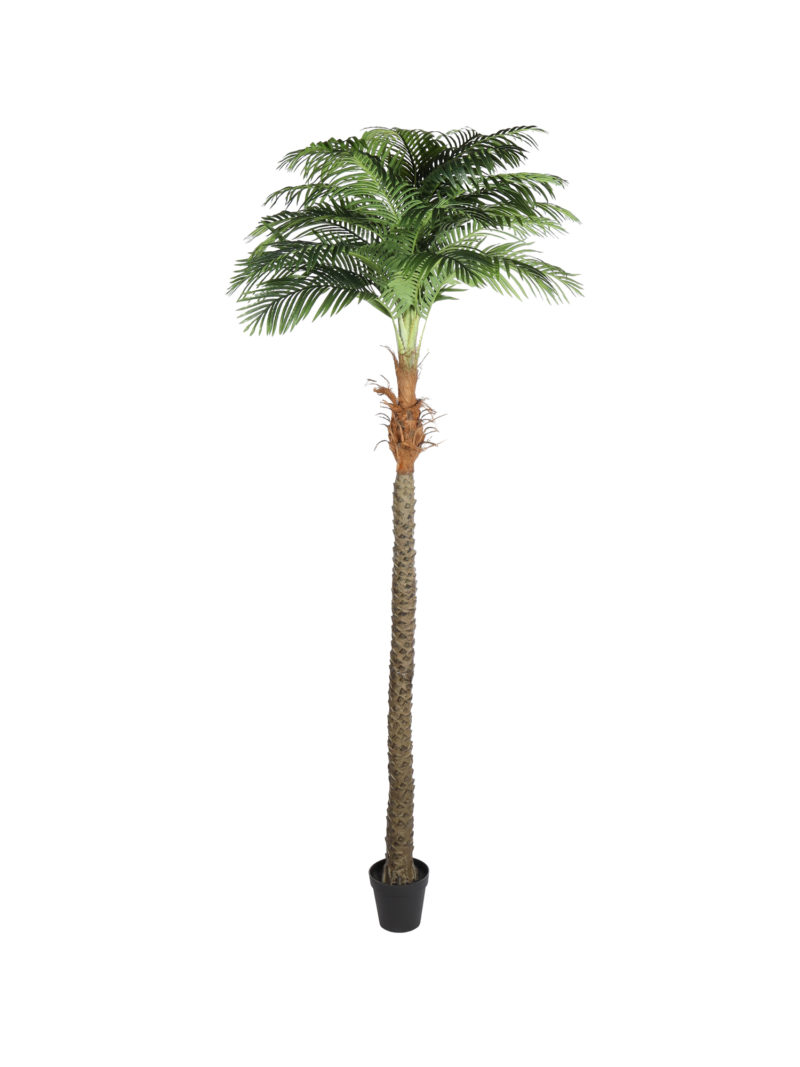 Kunstpalm Hawaii Extra Groot 280cm