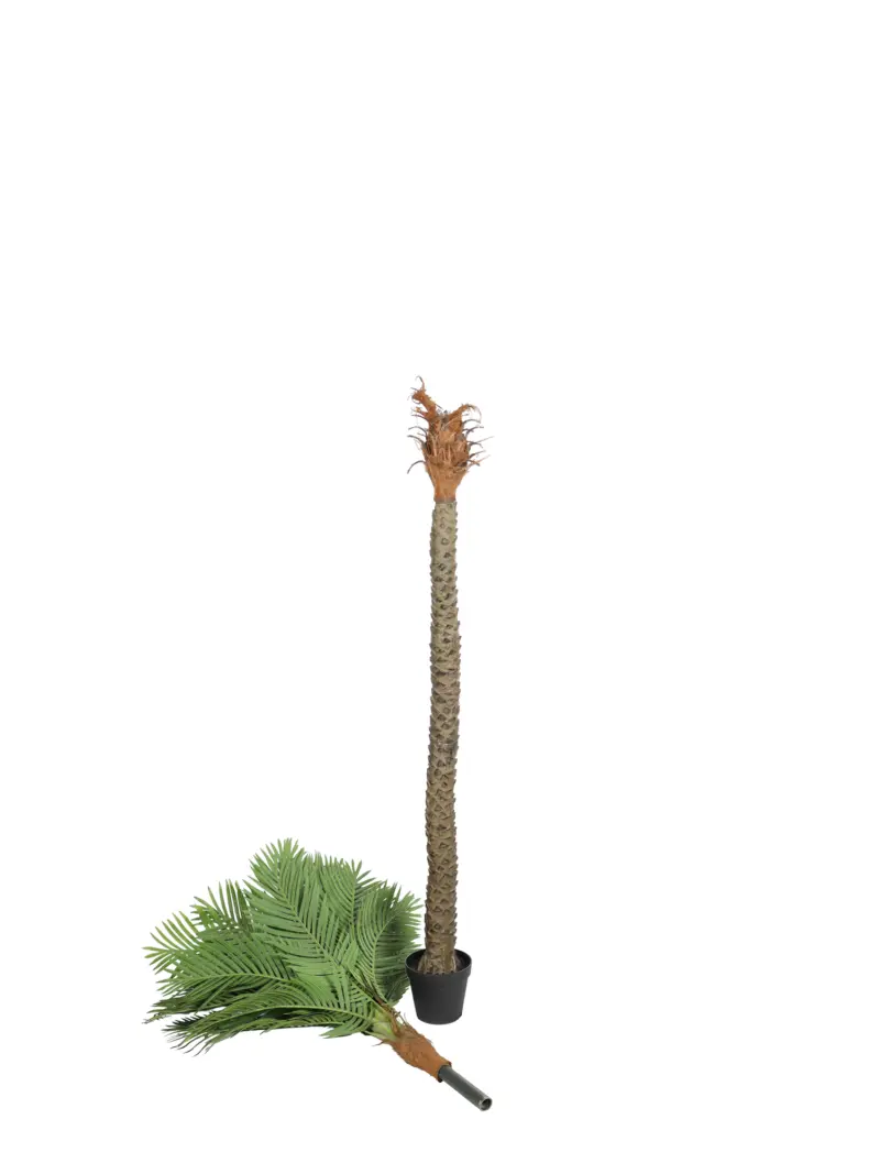 Kunstpalm Hawaii Extra Groot 280cm