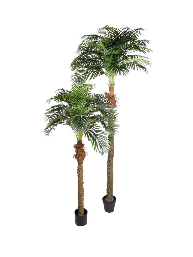 Kunstpalm Hawaii Extra Groot 280cm