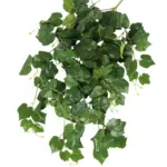 Brandvertraagde Druifblad Bundel 80cm