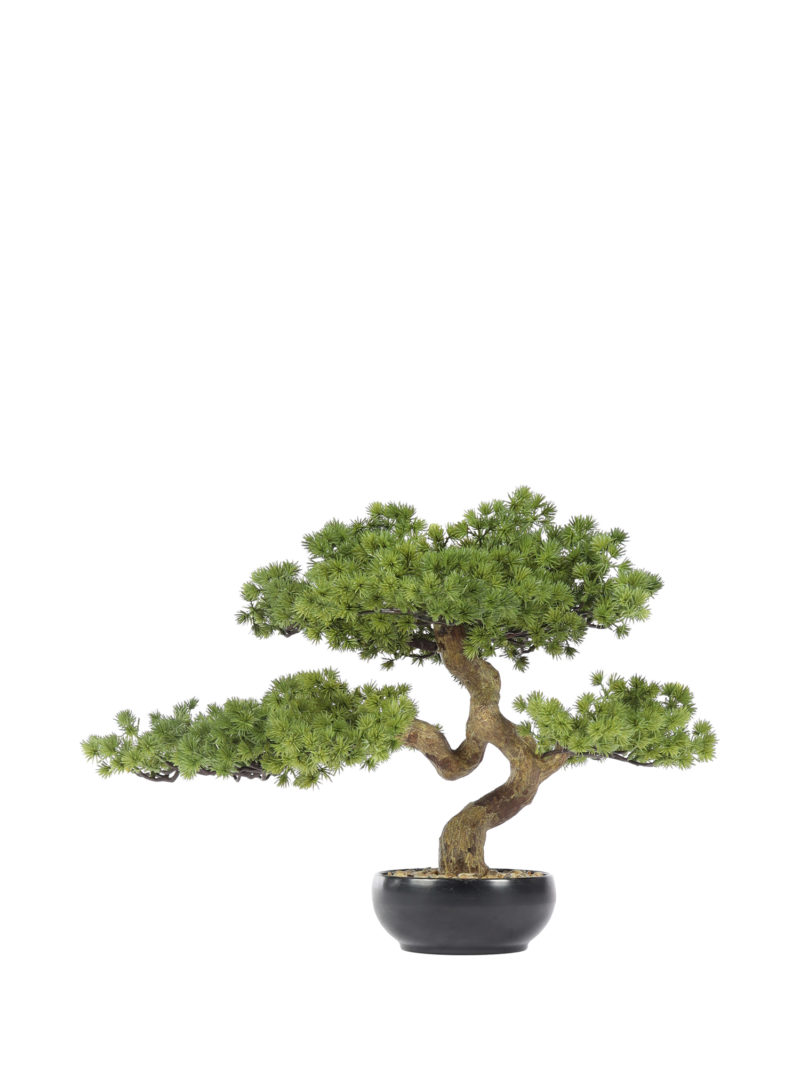 Kunst Bonsai Moyogi 40cm