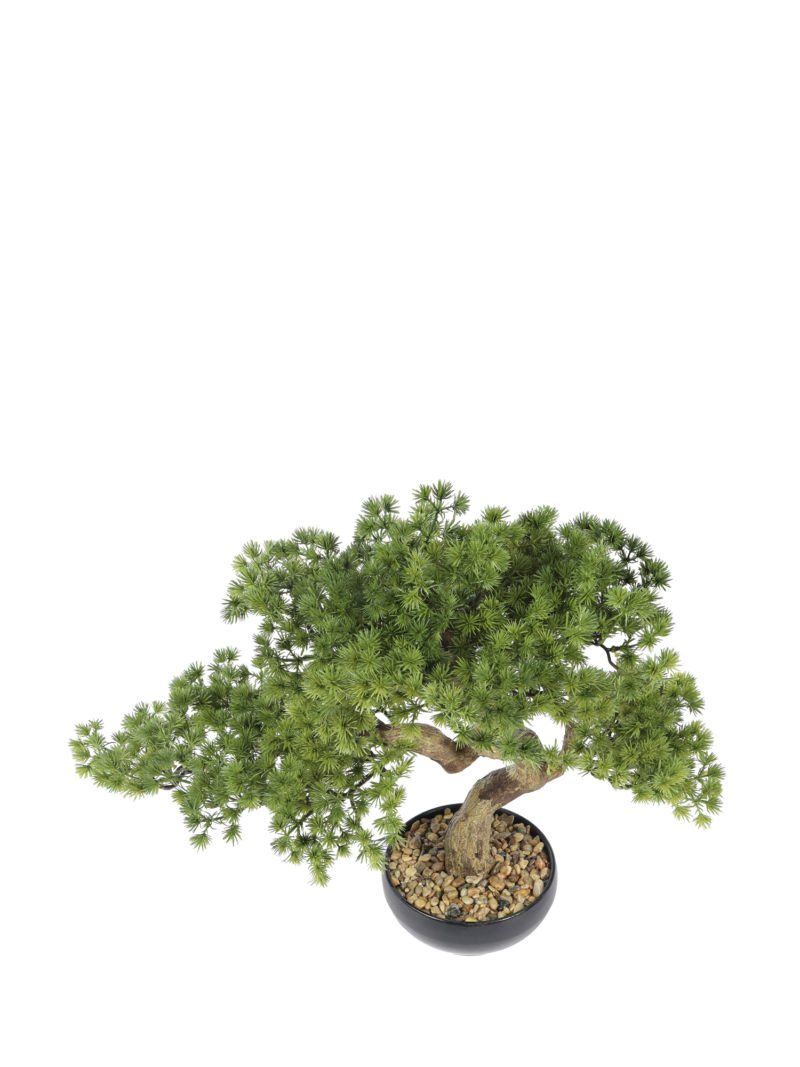 Kunst Bonsai Moyogi 40cm