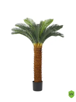 Kunst Cycaspalm Randy 125cm