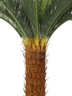 Kunst Cycaspalm Randy 125cm