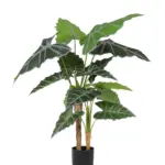 Kunst Olifantsoor Kumai 110cm
