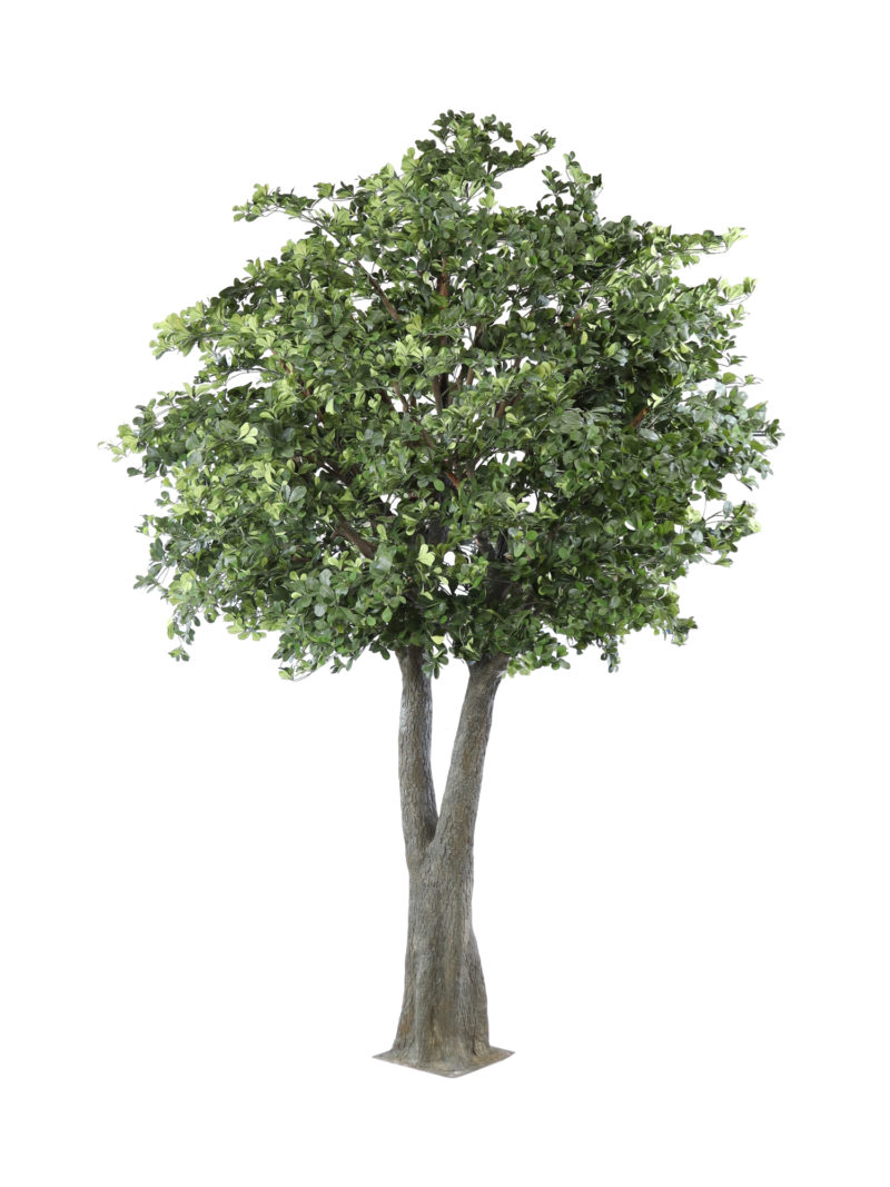 Grote Kunstboom Schefflera 375cm