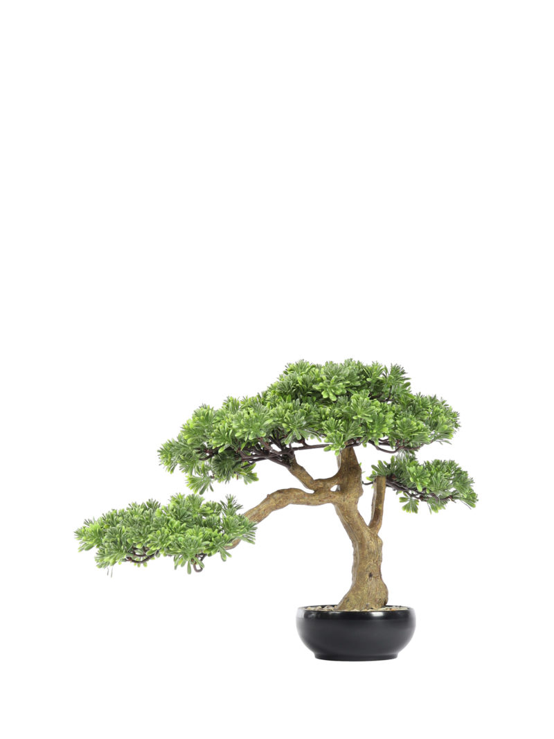 Kunst Bonsai Kengai 40cm