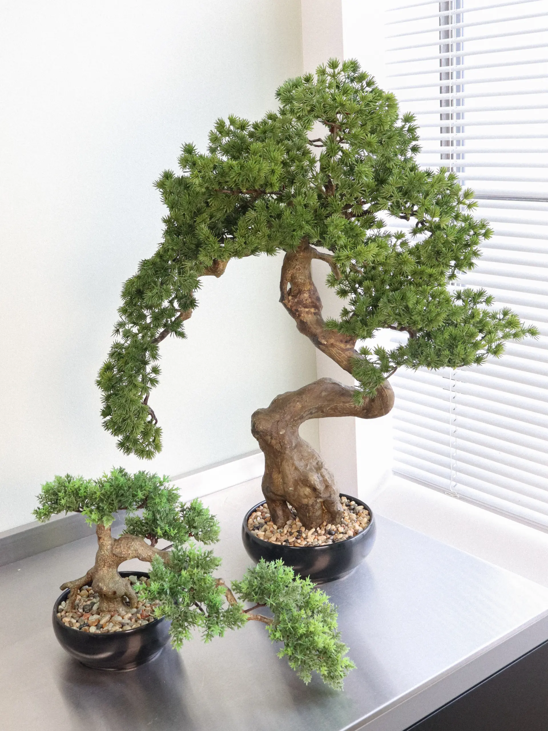 how much does a bonsai tree cost Homebrew DIY Kit main image 0