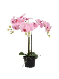 Kunst Orchideeplant Roze 65cm