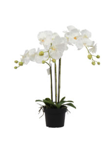 Kunst Orchideeplant Wit 65cm