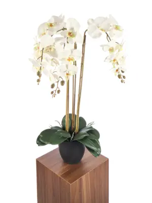 Kunst Orchideeplant Wit 65cm