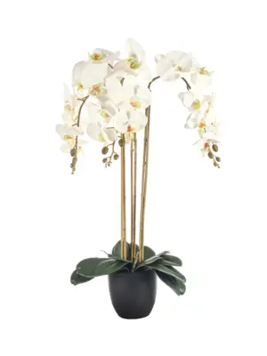 Kunst Orchideeplant Wit 65cm