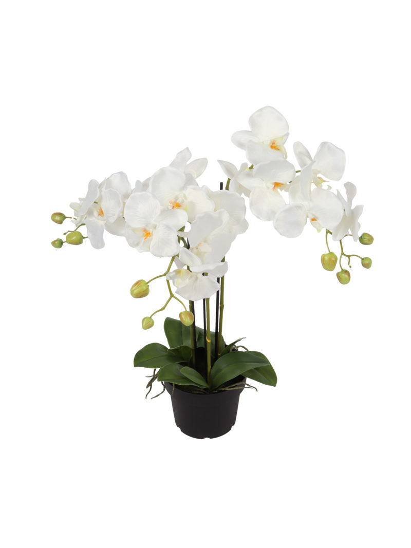 Kunst Orchideeplant Wit 65cm