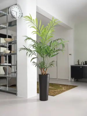 Kunstpalm Kentia 180cm van Kunstpalm.nl
