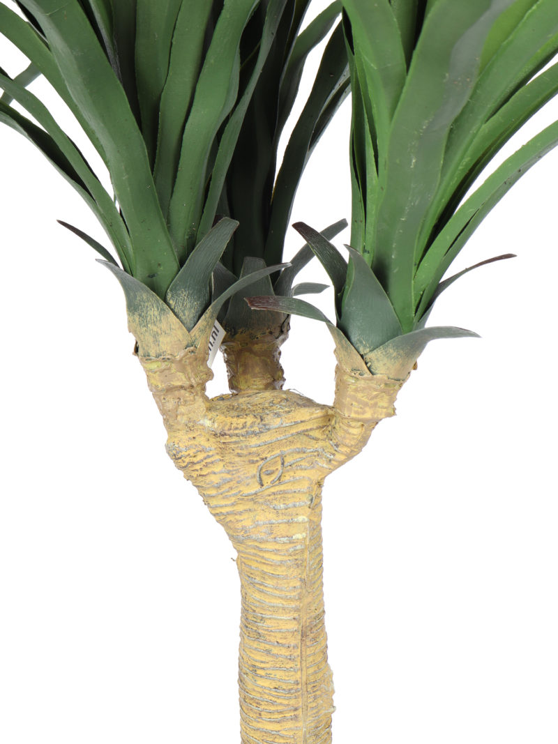 Bottle Yucca 125cm