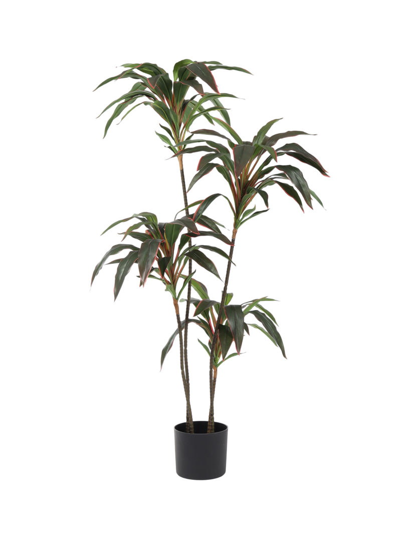 Kunst Dracena Roodrand 120cm