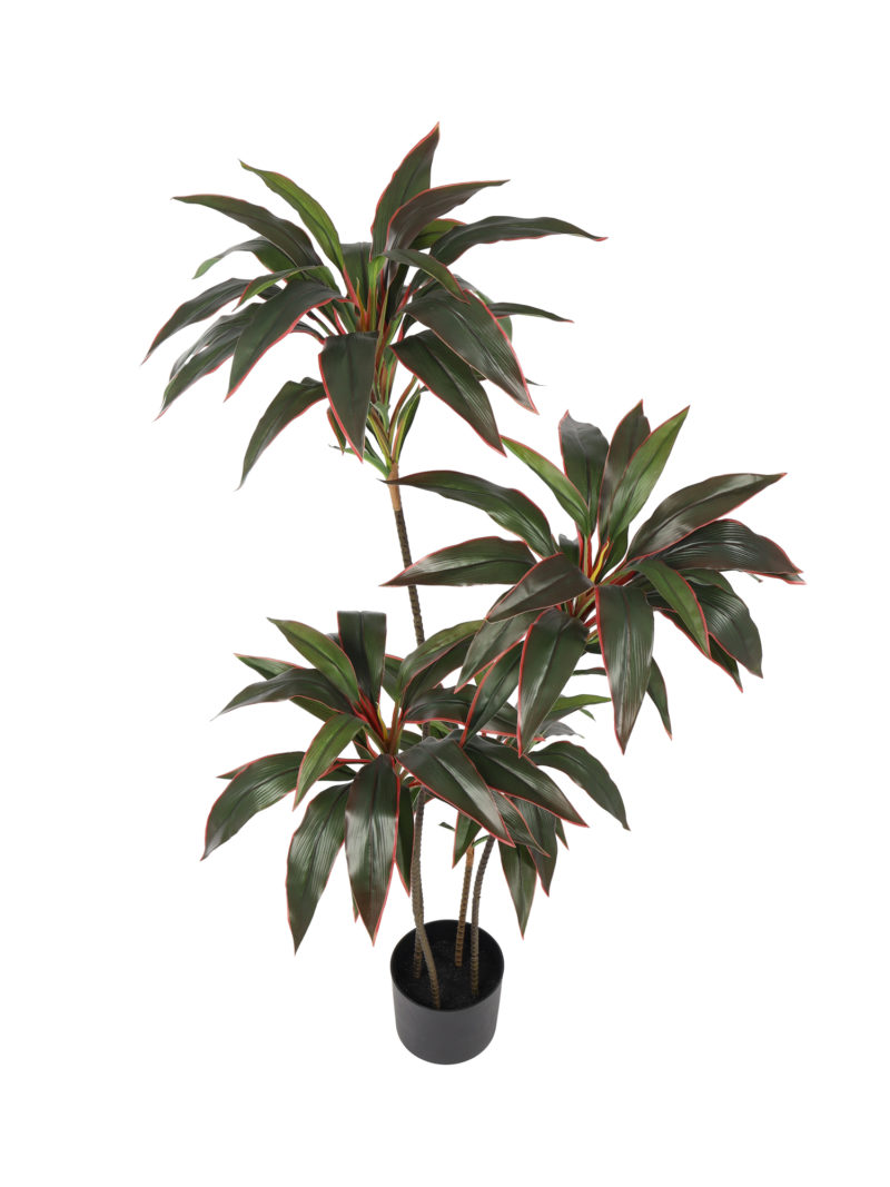 Kunst Dracena Roodrand 120cm