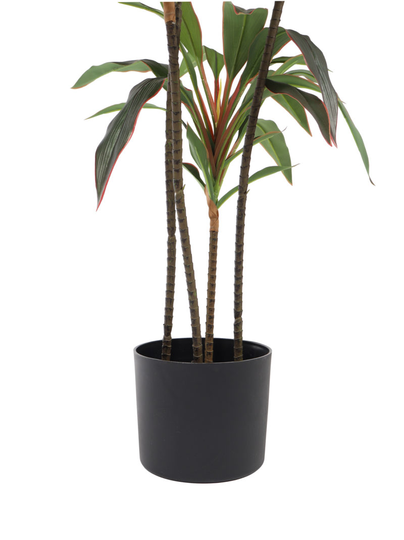 Kunst Dracena Roodrand 120cm