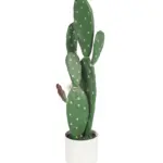 Kunst Schijfcactus Inamoena 62cm