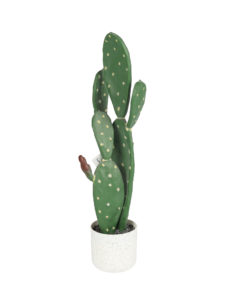 Kunst Schijfcactus Inamoena 62cm