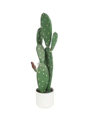 Kunst Schijfcactus Inamoena 62cm