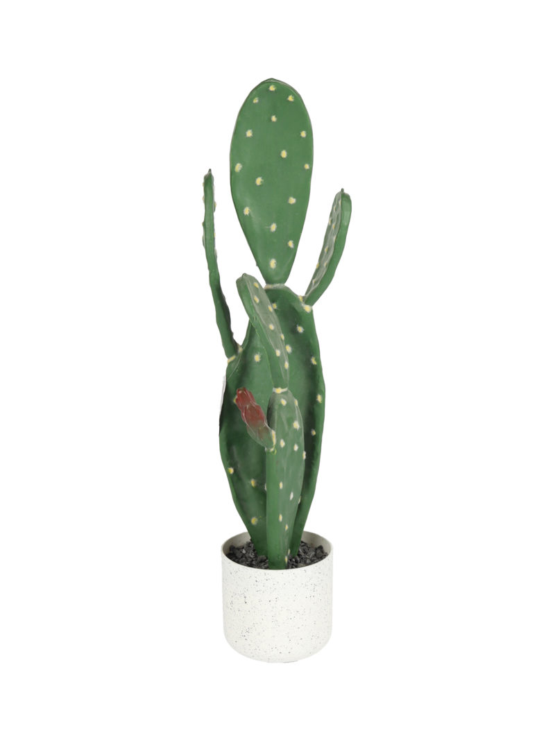 Kunst Schijfcactus Inamoena 62cm