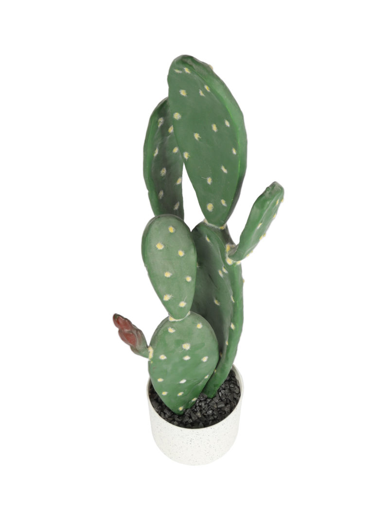 Kunst Schijfcactus Inamoena 62cm