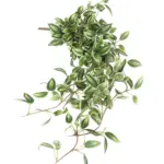 Kunst Vaderplant Bundel Groen Wit 75cm