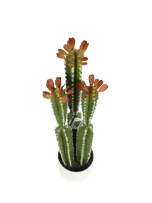 Kunstcactus Yucatan 70cm