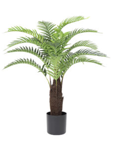 Varenpalm Tampa 110cm