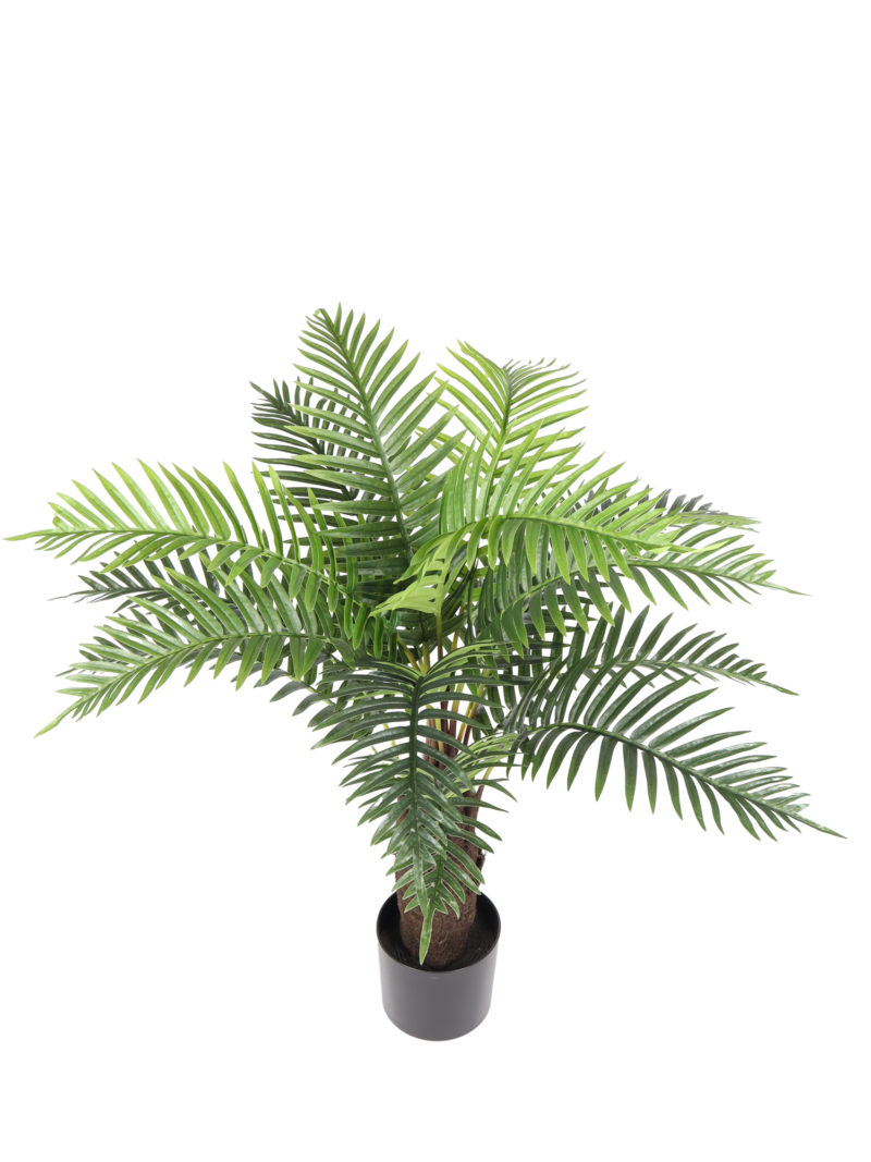 Varenpalm Tampa 110cm