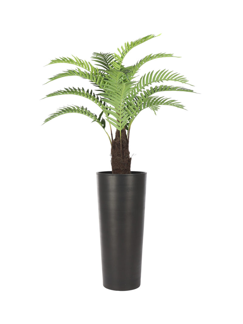 Varenpalm Tampa 110cm