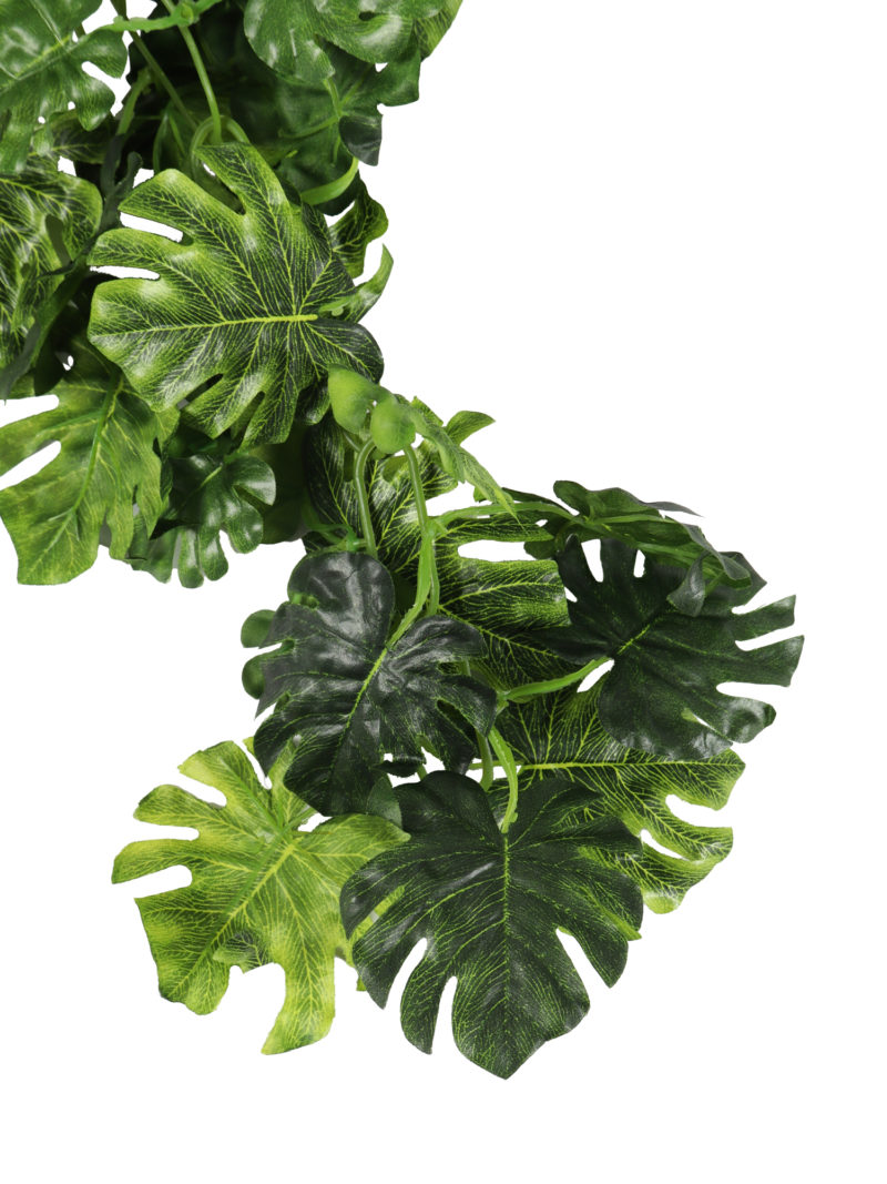 Extra Lange Groene Monstera Slinger 275cm