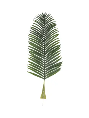 Groot Palmblad 95cm Met Bevestiging