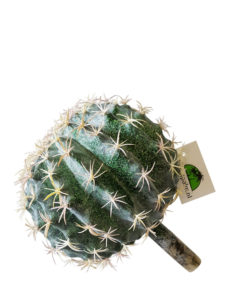 Kunst Bol Cactus 19cm