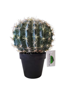 Kunst Cactusbol met Pot 26cm