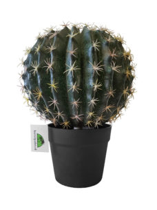 Kunst Cactusbol met Pot 35cm