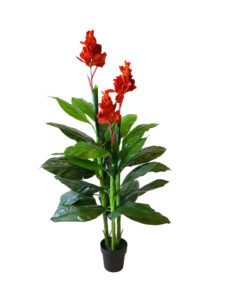 Kunst Canna Rood 165cm