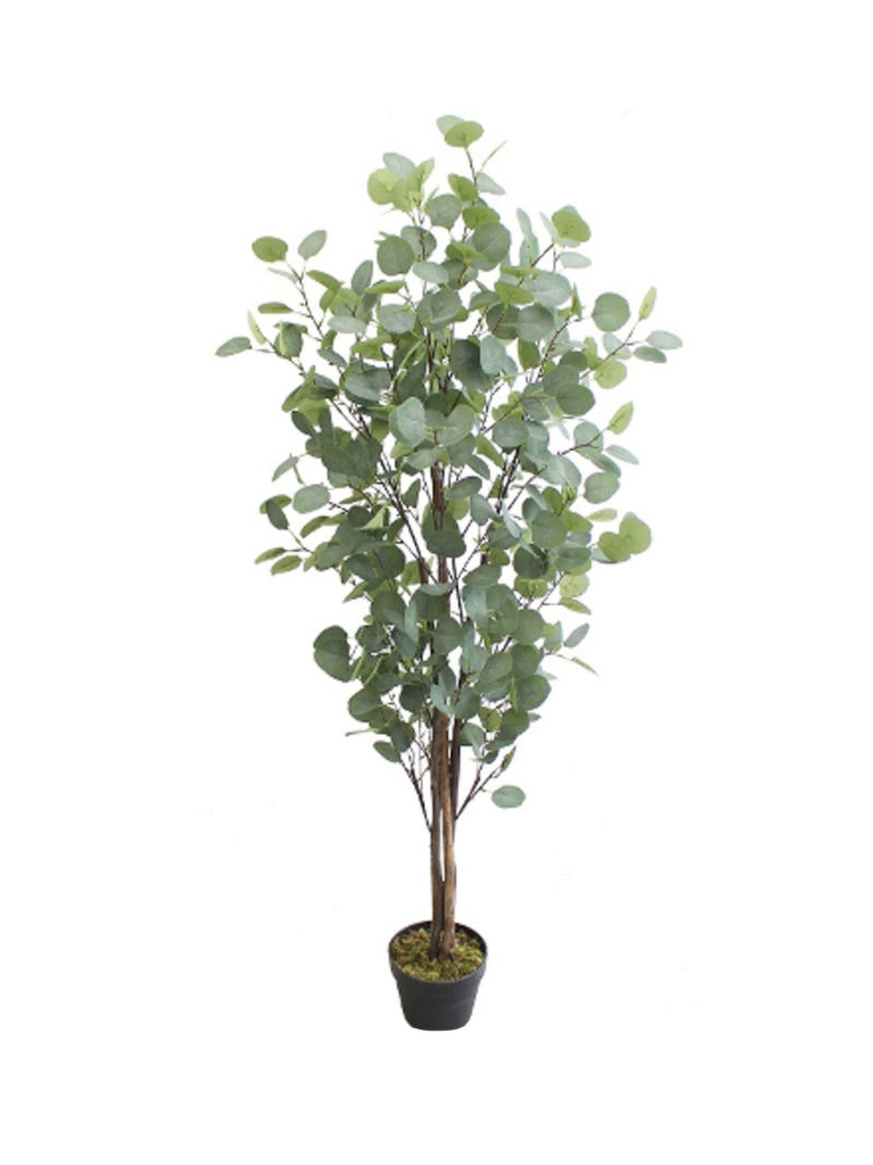 Kunst Eucalyptus Boompje 160cm