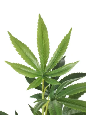 Kunst Wietplant 100cm